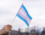 Sindicato avança no combate à discriminação de trabalhadoras transexuais